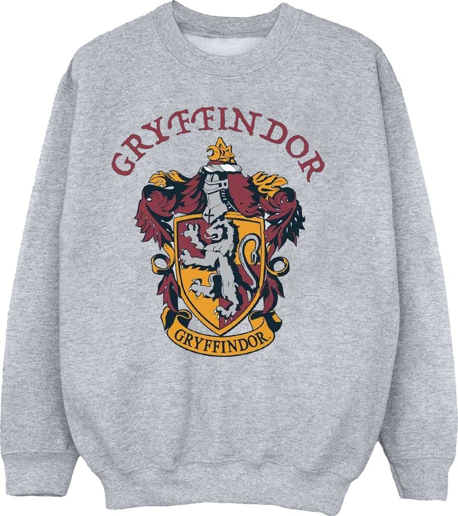 Harry Potter - Sweatshirt für Jungen BI796 (116) (Grau)