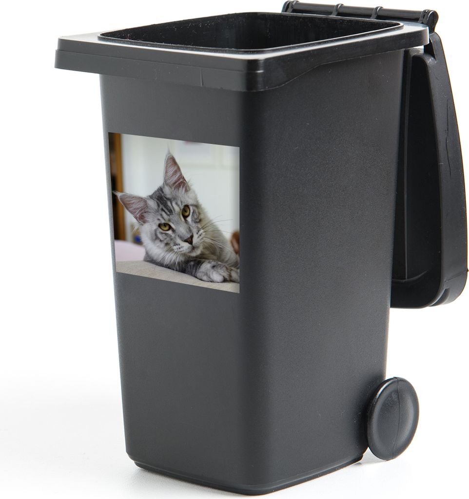 MuchoWow Mülltonnenaufkleber Eine liegende graue Maine Coon Katze 40x40 cm - Abfall-Aufkleber - Container - für Abfallcontainer