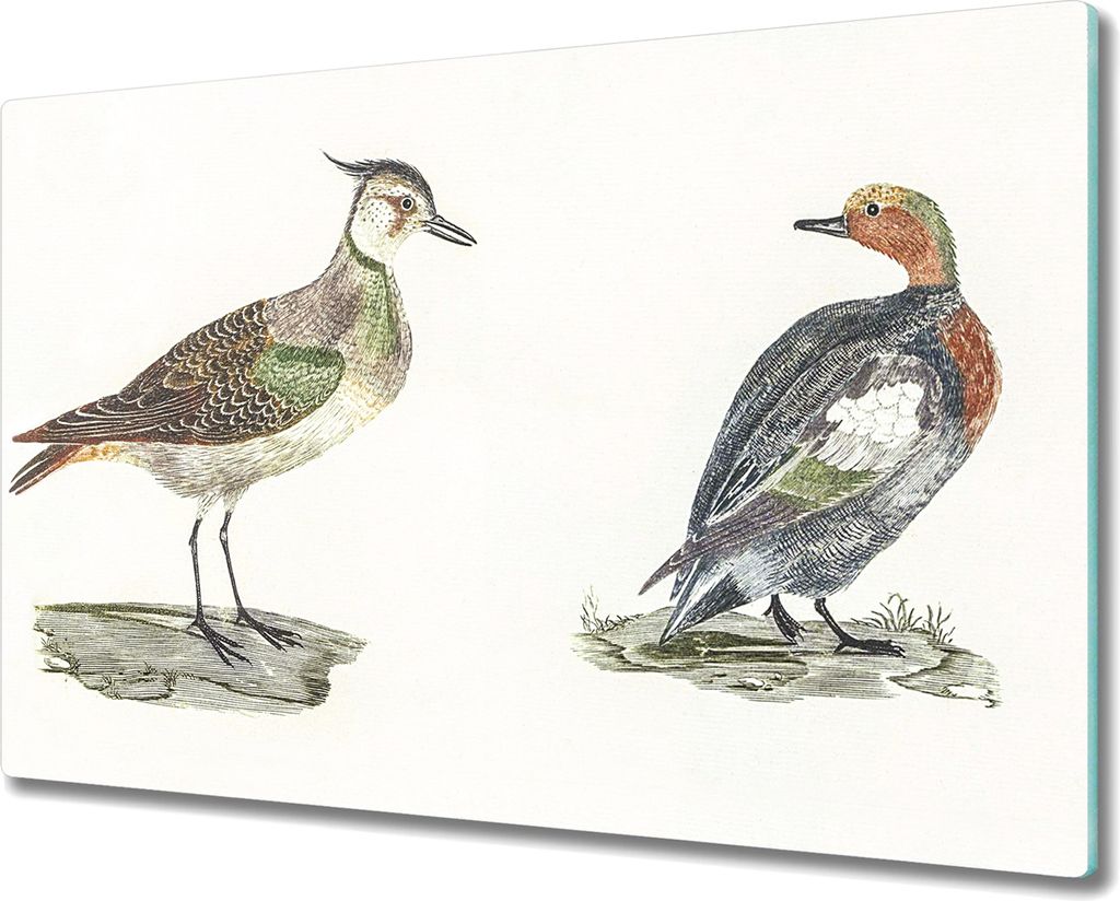 Coloray Kochplattenabdeckung Herdabdeckplatte 80x52 cm Hackbrett Schneidebrett Küchenbrett - Tiere Vögel