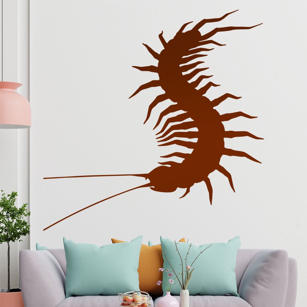 hauptsachebeklebt KIWISTAR Käfer - Insekt Krabbeltier Wirbel Wandtattoo in 6 Größen - Wandaufkleber Wall Sticker - Dekoration, Küche, Wohnzimme...