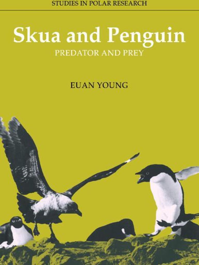 Skua and Penguin