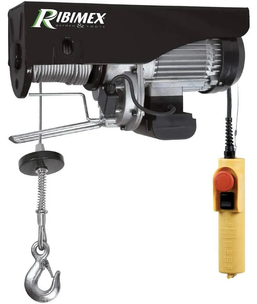 Palan de Levage pour Garage et Atelier 125/250kg - 18m D-Work
