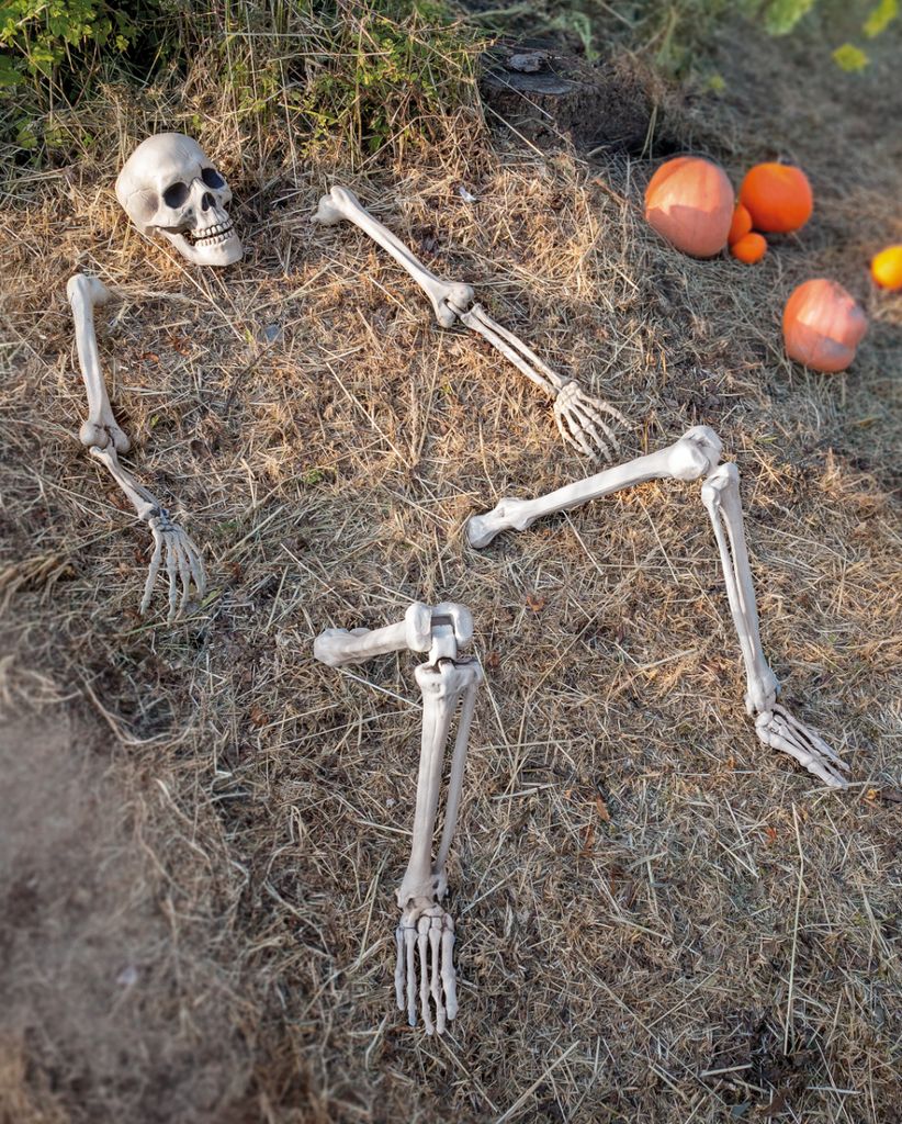 5-tlg. Kunststoff Skelett als Halloween Deko für den Garten