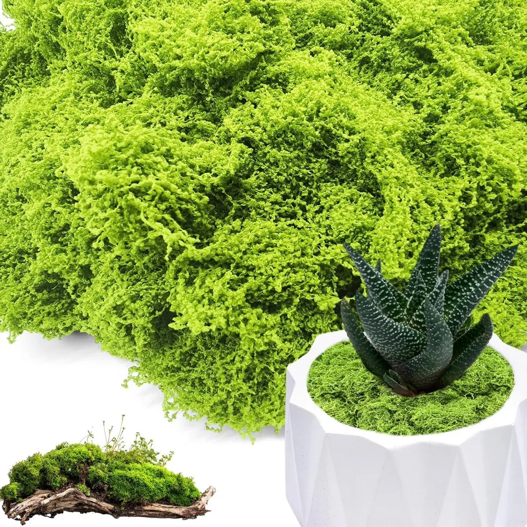 Mousse artificielle pour tableau végétal et aquarium, déco verte 100g