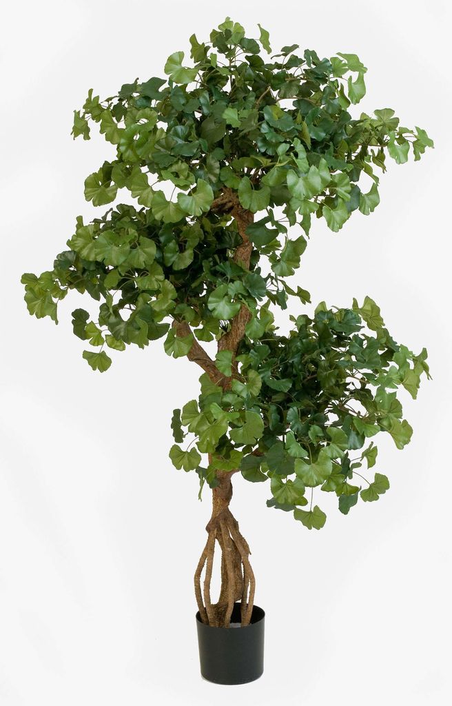 artplants.de Kunst Ginkgo Gregor, 1092 Blätter, grün, 145cm - Kunstbaum - Dekobaum