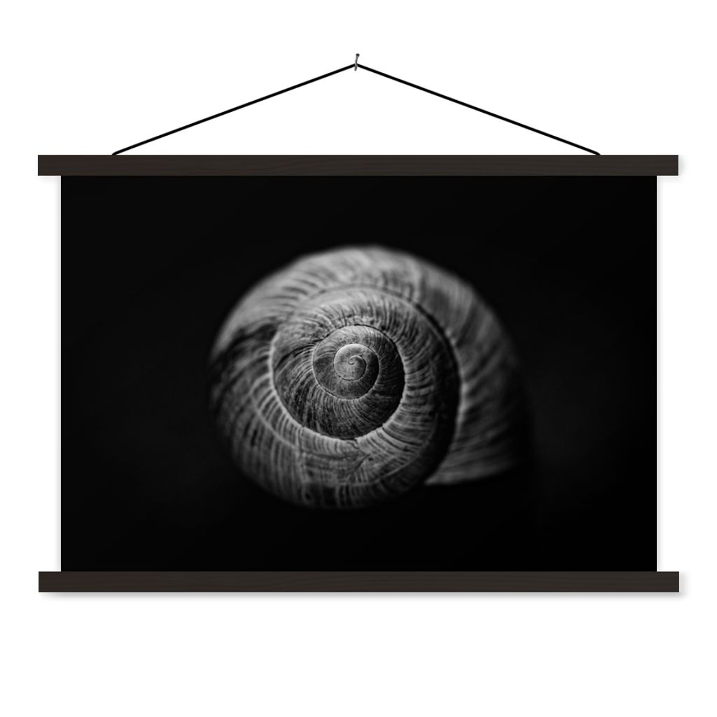 MuchoWow Textilposter Schnecke - Tiere - Schwarz - Weiß - Schneckenhaus 150x100 cm mit schwarzem Rahmen - Schlafzimmer