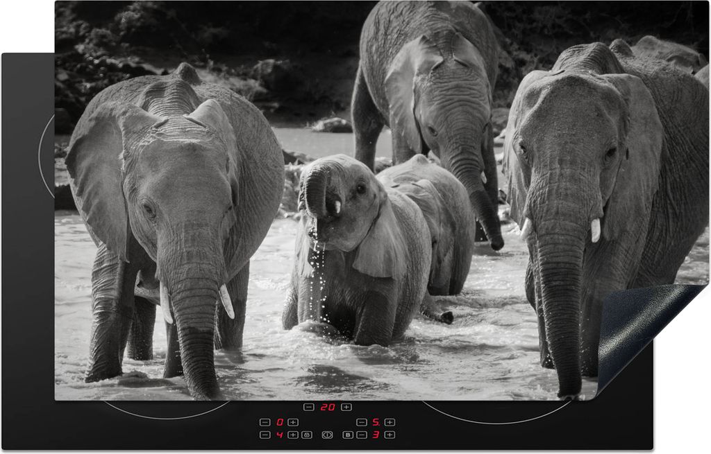 KitchenYeah© Herdabdeckplatte Elefant - Tiere - Wasser - Produktbild 