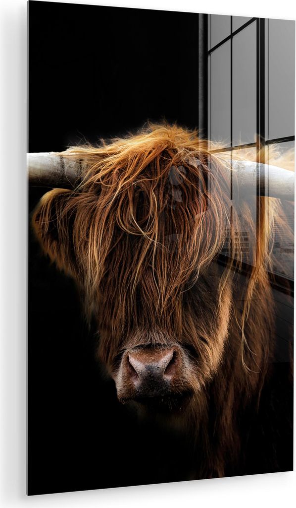 MuchoWow Glasbilder - Bilder auf Wandbild - Foto auf Glas Schottisches Hochlandrind - Hörner - Schwarz - Tiere - Natur - Wild - Kuh 20x30 cm Wandd...