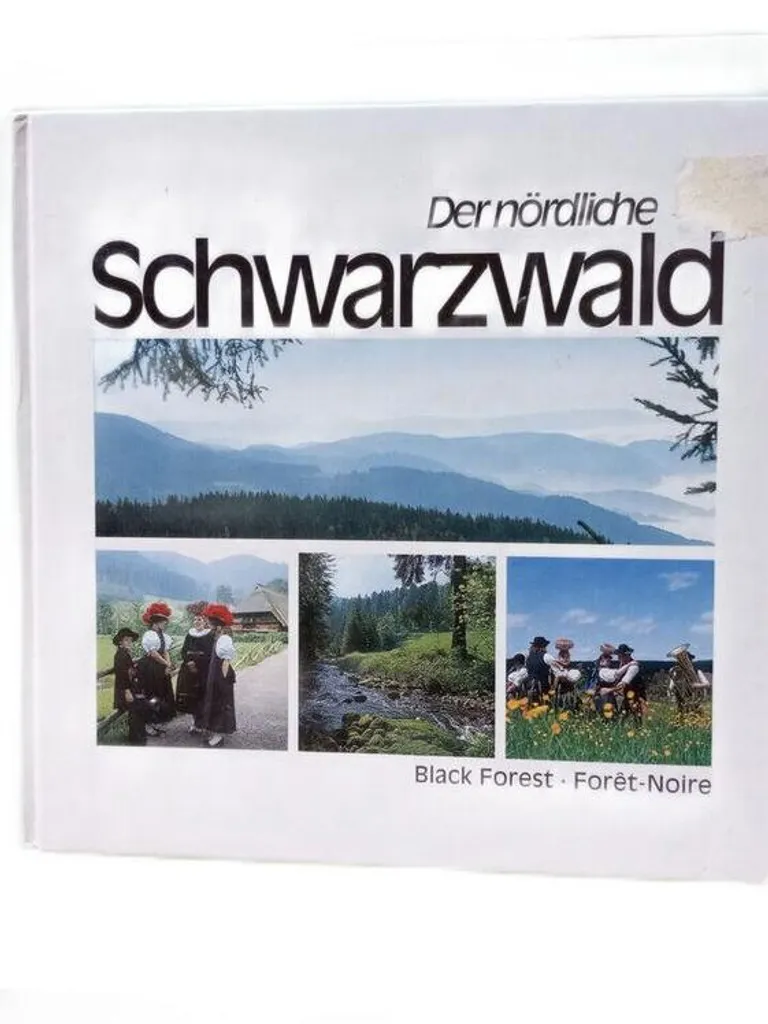 Carte touristique Forêt-Noire : idées de sorties au Nördlicher Schwarzwald