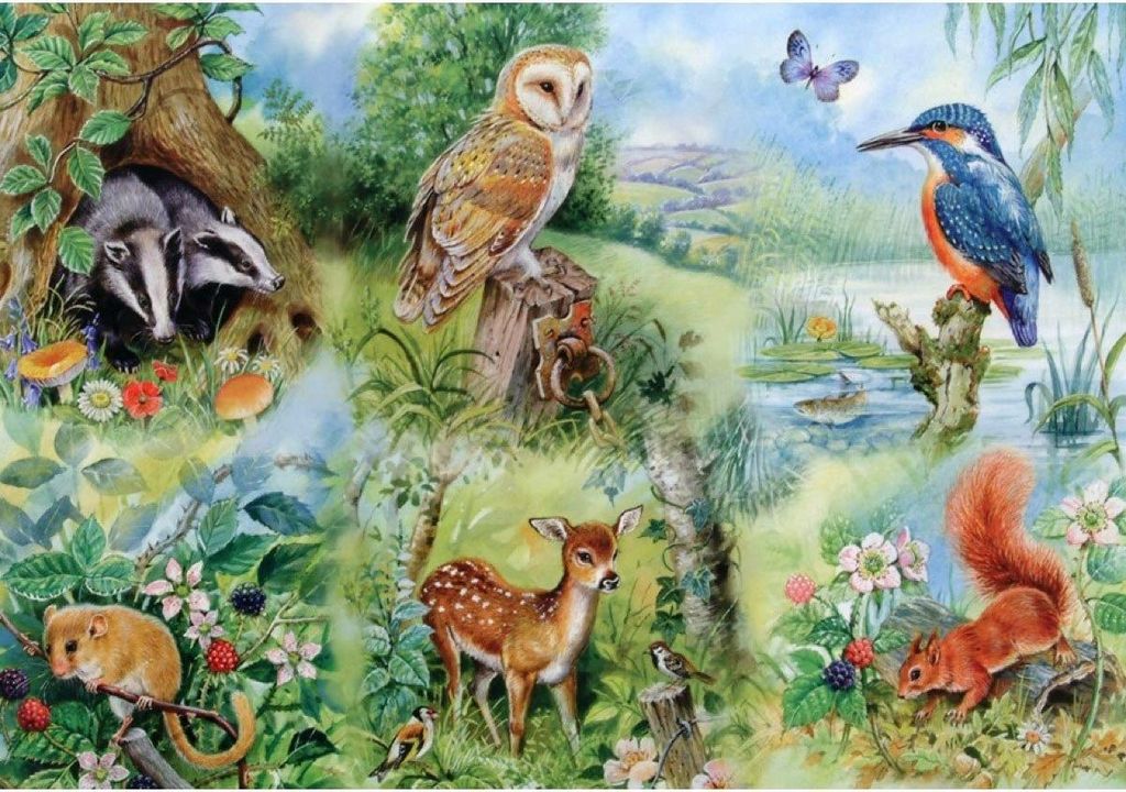 House of Puzzles XXL Puzzle Tiere Naturstudie 250 Teile