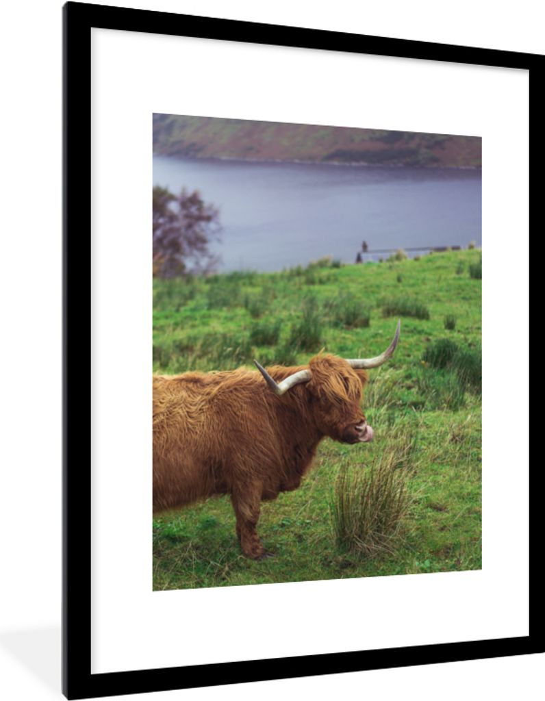 MuchoWow Gerahmtes Poster Schottische Highlander - Gras - Wasser - Tiere 60x80 cm - Poster mit Schwarzem Bilderrahmen Wandposter Rahmen Foto Bild...