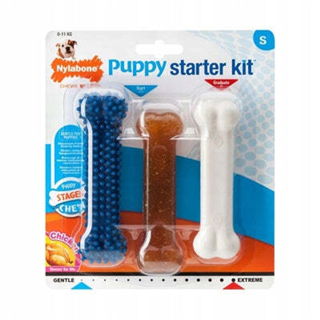 Nylabone Puppy Chew Welpen Starter Kit Huhn Produktbild 