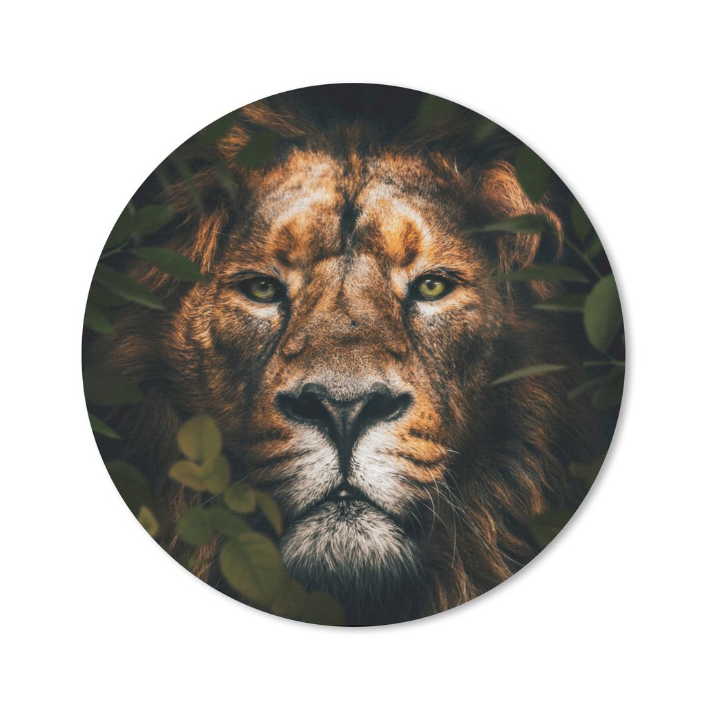 MuchoWow Mauspad Mousepad Löwe - Tiere - Dschungel 20x20 cm - Mousepads - Maus Mat - Pad - Mausunterlage - Schreibtischmatte
