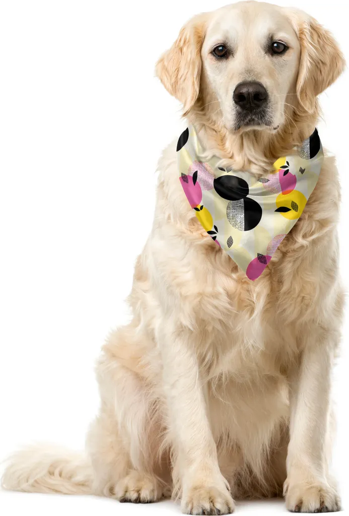 ABAKUHAUS Bandana per Cani 40cm - Diagonal Fruit Beige Antracite