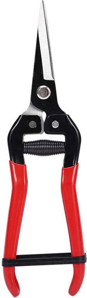 Harvest Fichte, Schwarz/Rot ERSTES MATERIAL 202 x 60 mm