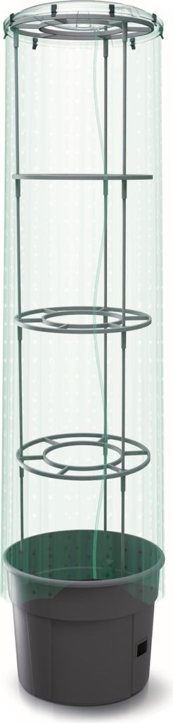 Tomatenpflanze Deckel und Folie LDPE Pflanzkübel 28 L, Produktbild 