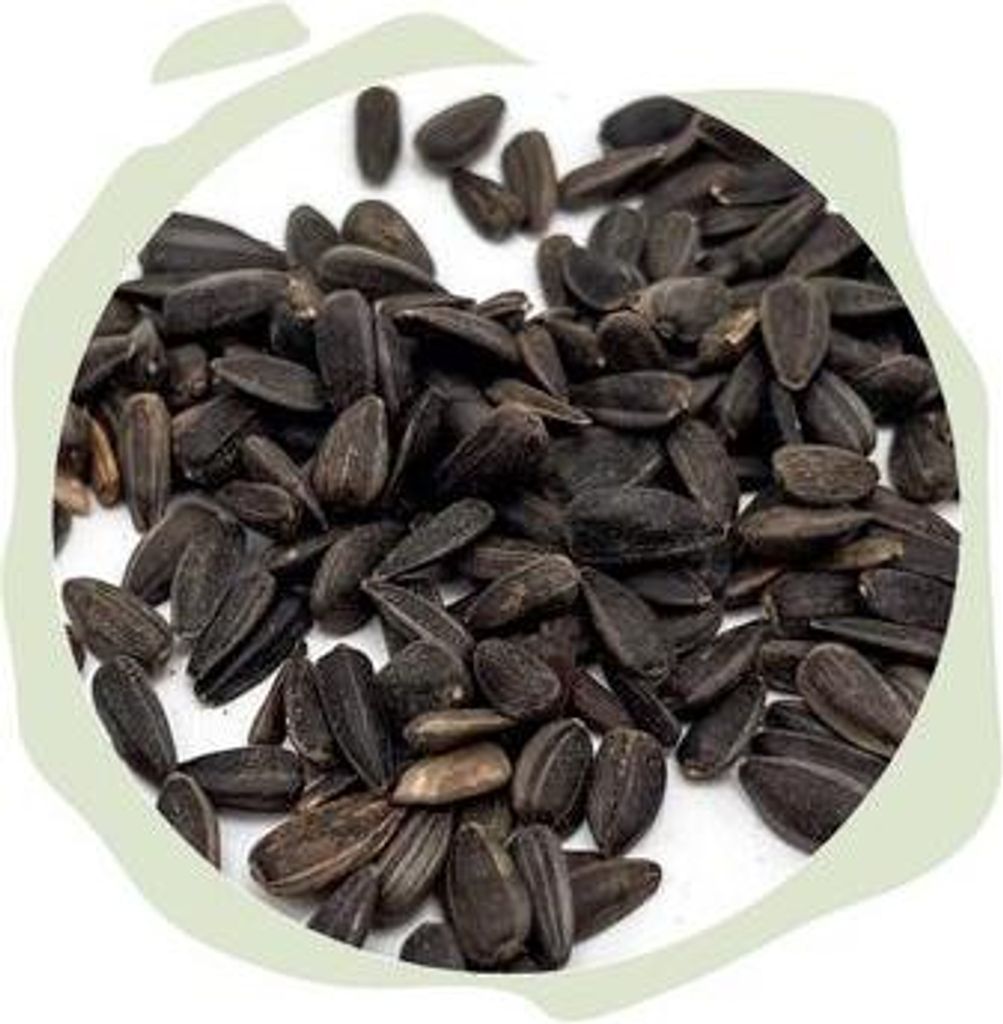 WTS - Naturhäppchen -Sonnenblumenkerne schwarz | 1000 ml (440g) - Naturfutter für Vögel