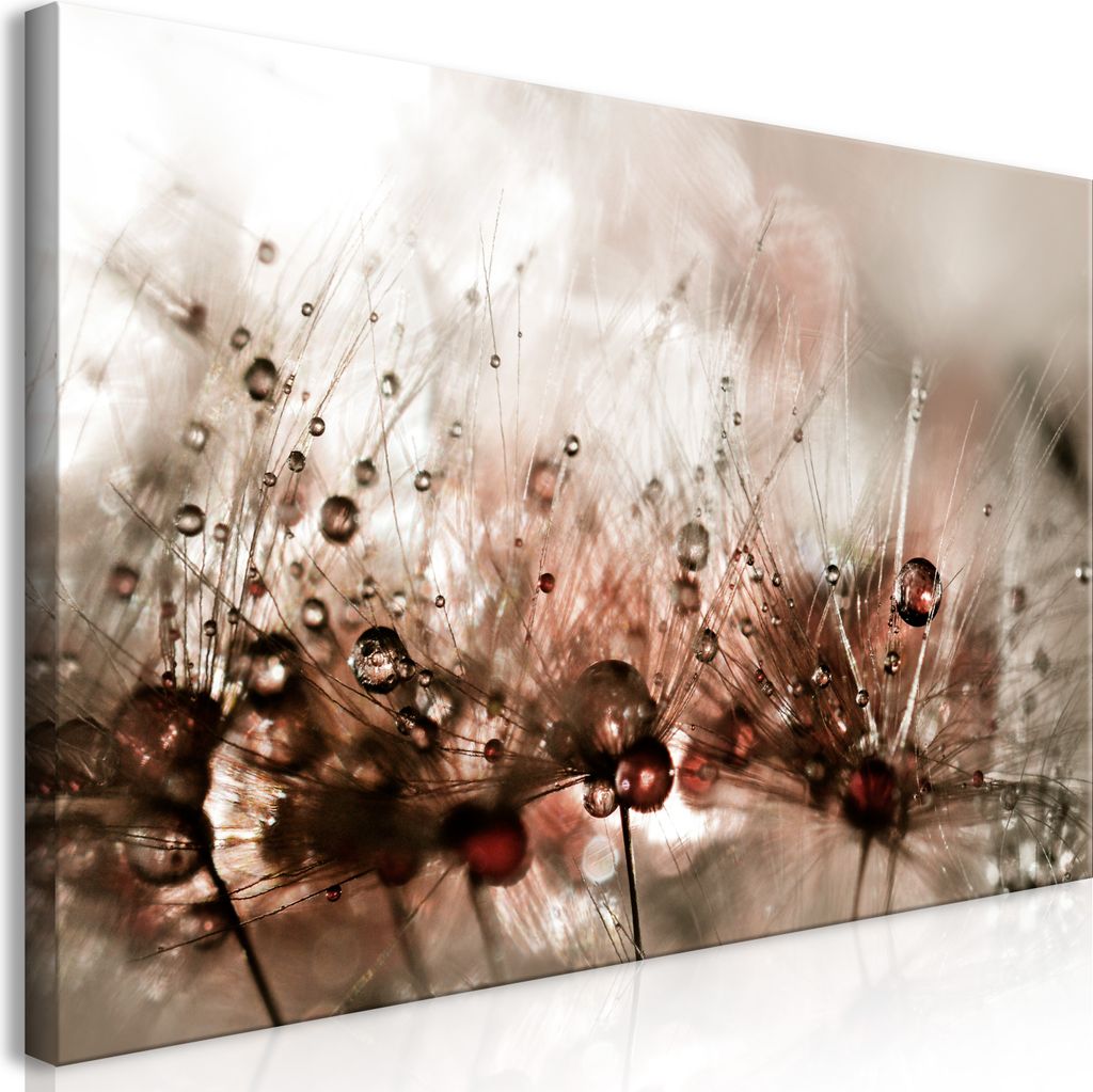 Wandbild Mega XXXL Pusteblume 250x125 cm Einteiliger XXL-Format Kunstdruck zur Selbstmontage Leinwandbilder moderne Bilder DIY Wanddekoration Wohnu...