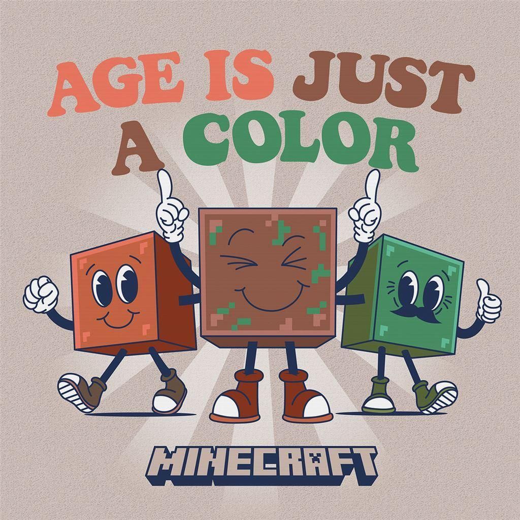 Minecraft - Leinwanddruck "Age Is Just A Color" PM11171 (30 cm x 30 cm x 1,8 cm) (Beige/Bunt)