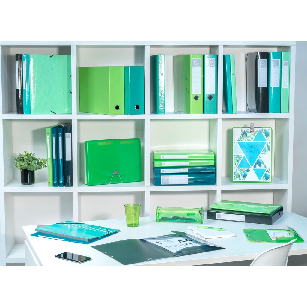 Exacompta 5x Transferbox Karton, Rücken 90mm, 25,5x34x9 cm A4, sortiert, 89929E