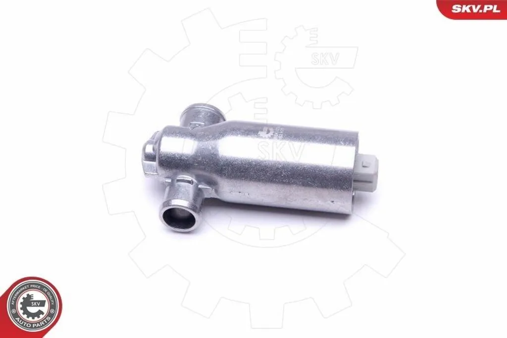 Régulateur de ralenti BMW E46 : Solution contre le calage moteur SKV - 2