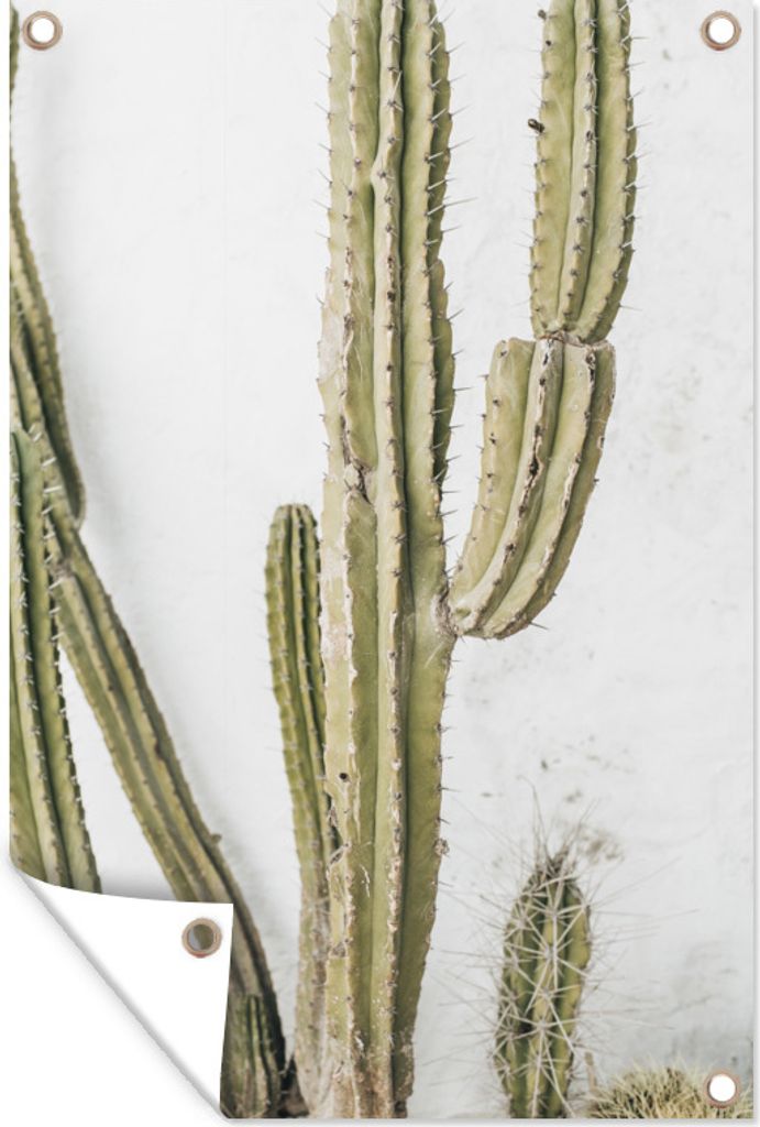 MuchoWow 40x60 cm Outdoor-Poster Gartendeko Sichtschutz Garten Poster für den Garten Kaktus - Sukkulente - Weiß