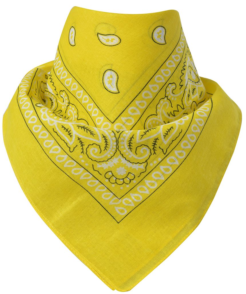 Bandana Paisley Gelb Produktbild 