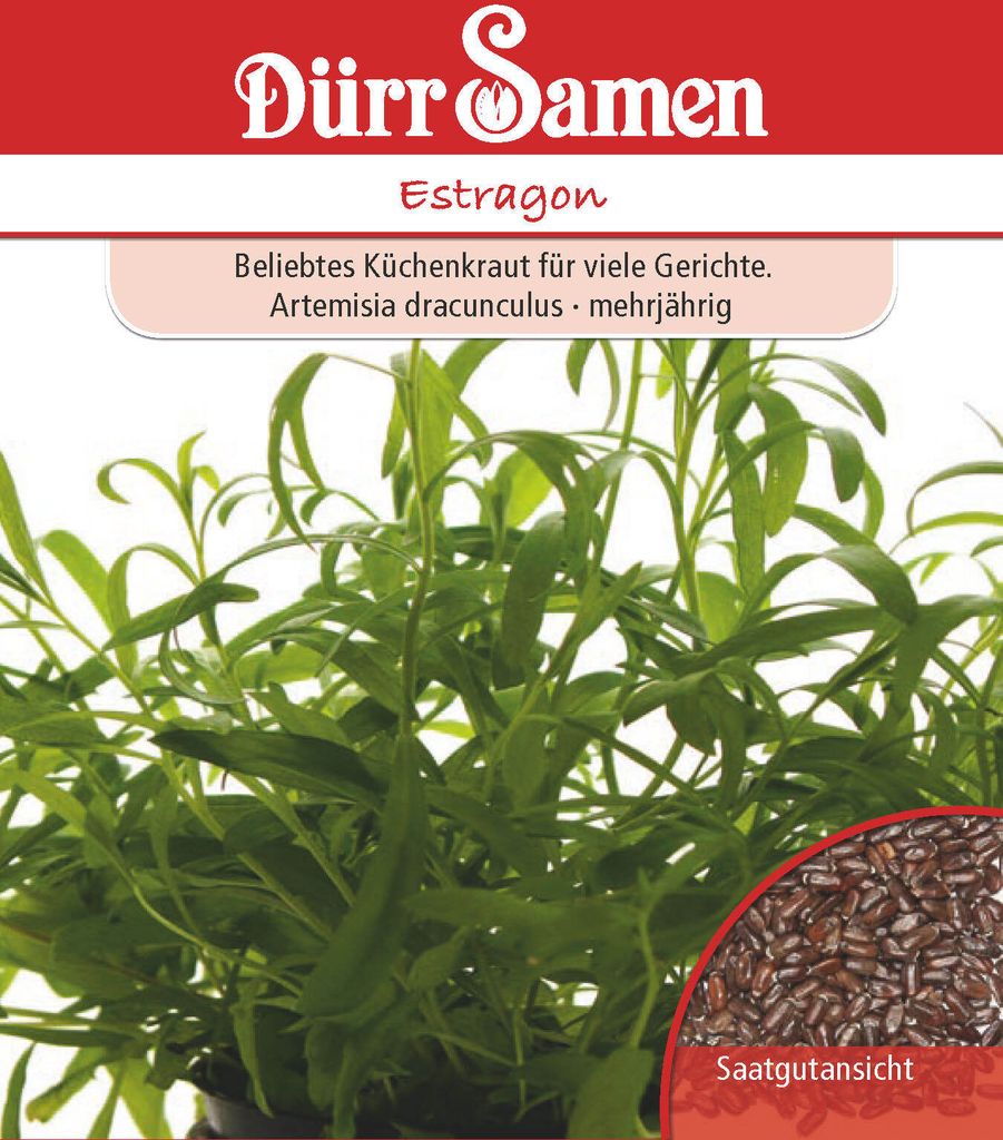 Estragon | Estragonsamen von Dürr Samen [MHD 12/2024] Produktbild 