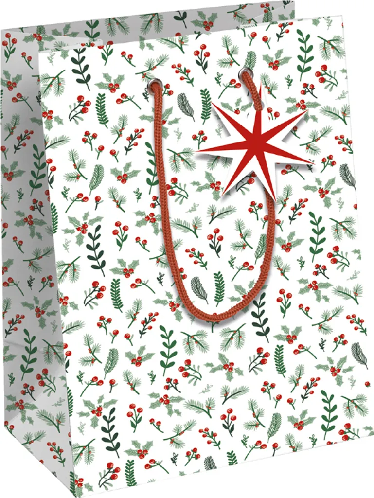 Petit Sac de Noël Cosy Clairefontaine - Papier Épais et Anses Cordes