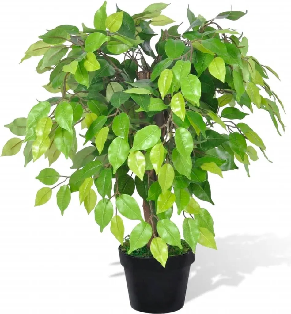 Ficus Nano Artificiale Alta Qualità 60cm | Foglie Serigrafate e Vaso