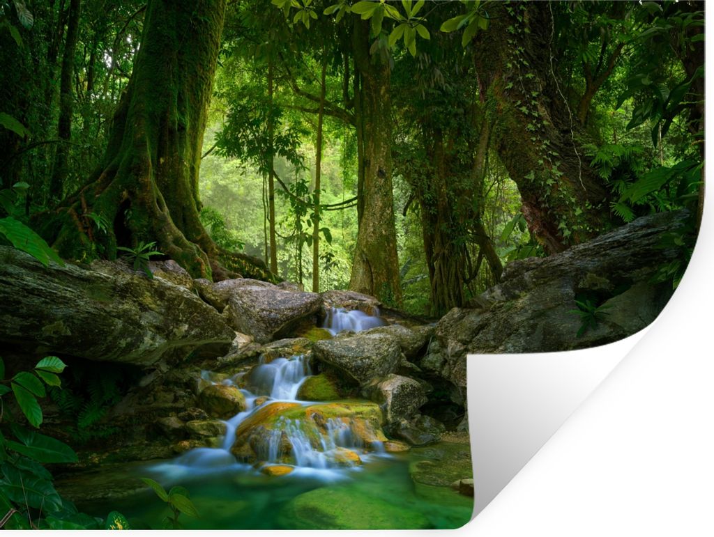 MuchoWow Wandtattoo Wandsticker Wandaufkleber Dschungel - Steine - Wasser - Natur - Pflanzen 160x120 cm Selbstklebend und Repositionierbar - Selb...