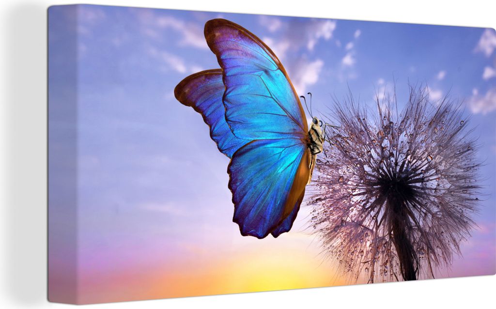 MuchoWow - Leinwandbilder - Schmetterling - Sonnenuntergang - Löwenzahn - Blau, Wandbild, Wanddeko Bilder Wohnzimmer, 80x40 cm