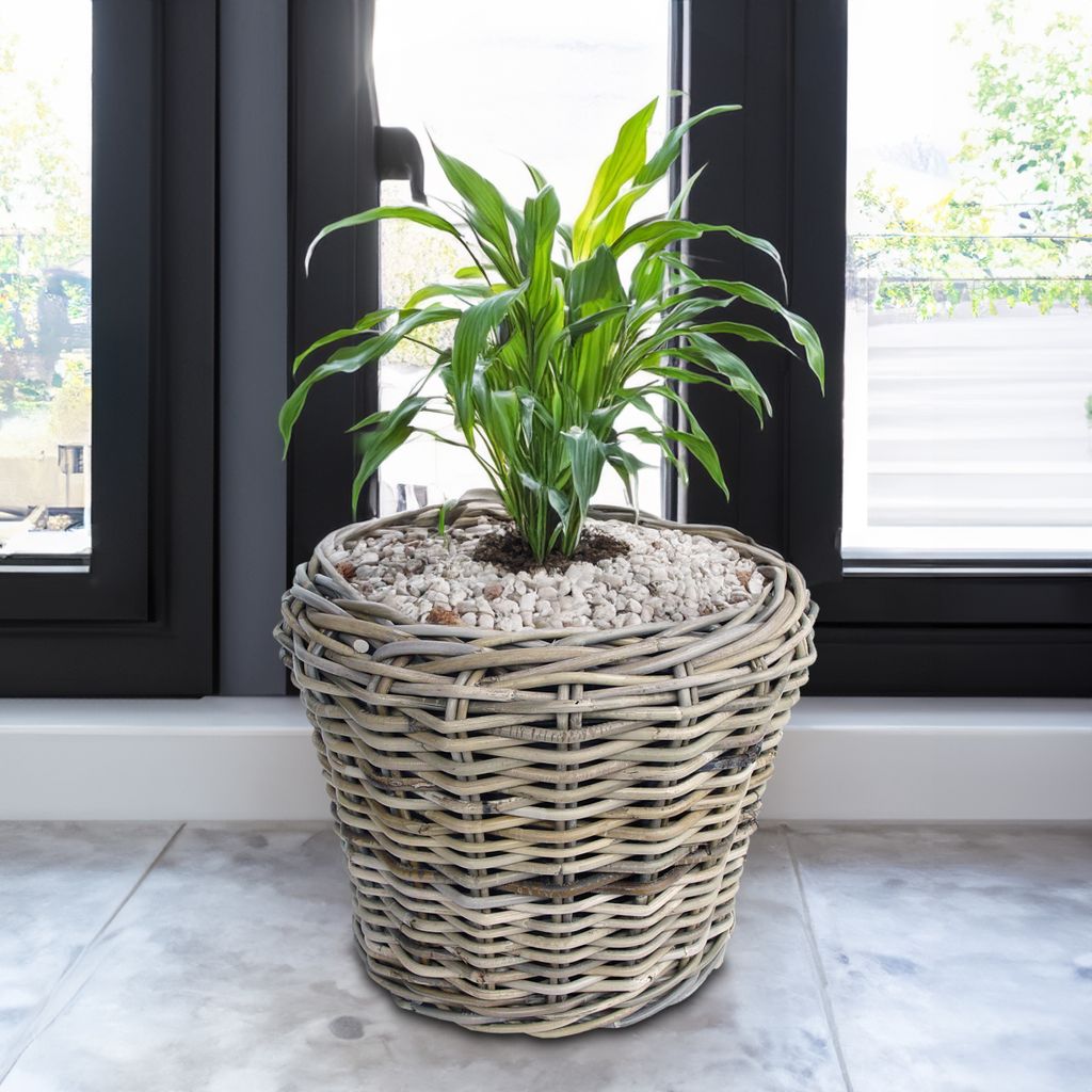 Rattan Pflanztopf mit Kunststoff Einsatz - 33 x 24 cm - Produktbild 4