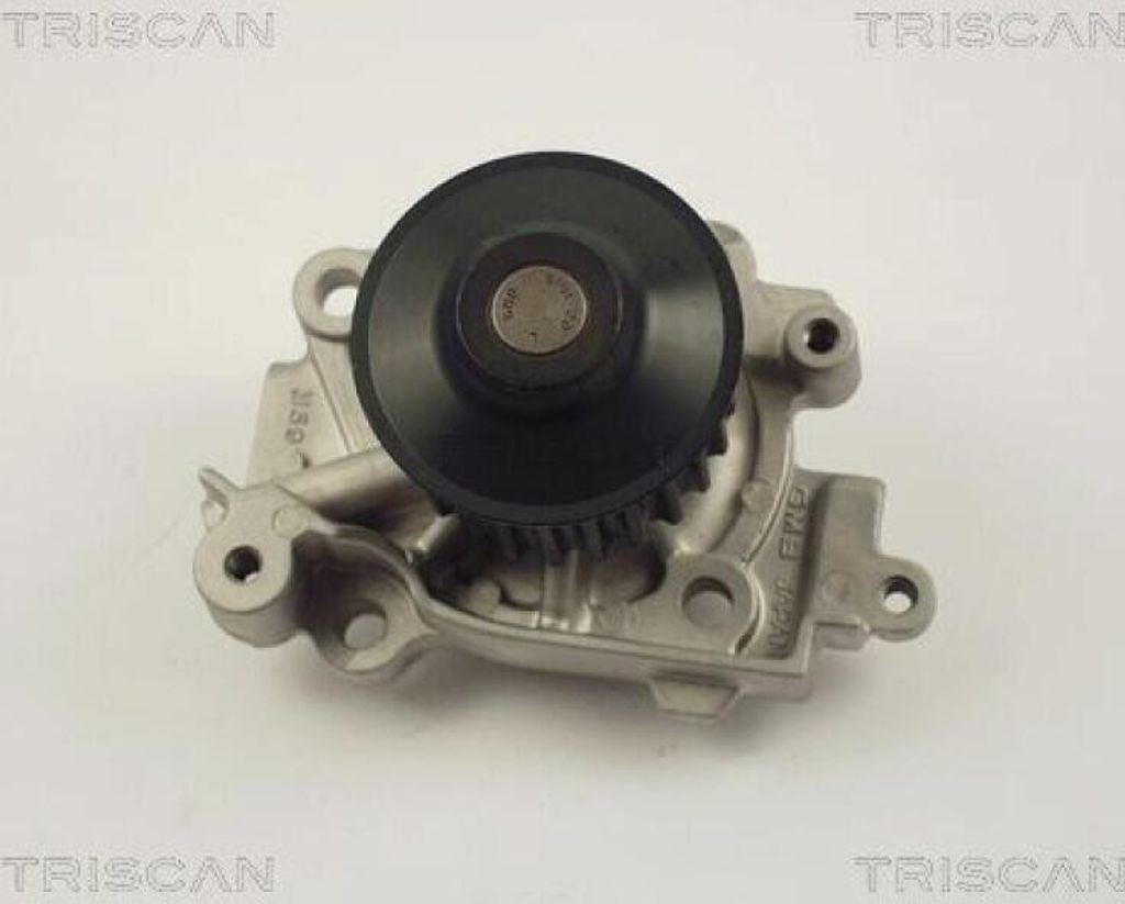 TRISCAN Wasserpumpe 8600 42010