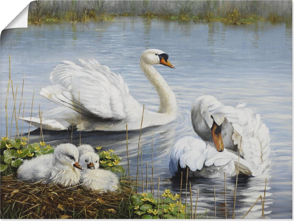 ARTland Poster Schwäne und ihre Küken Größe: 60x45 cm