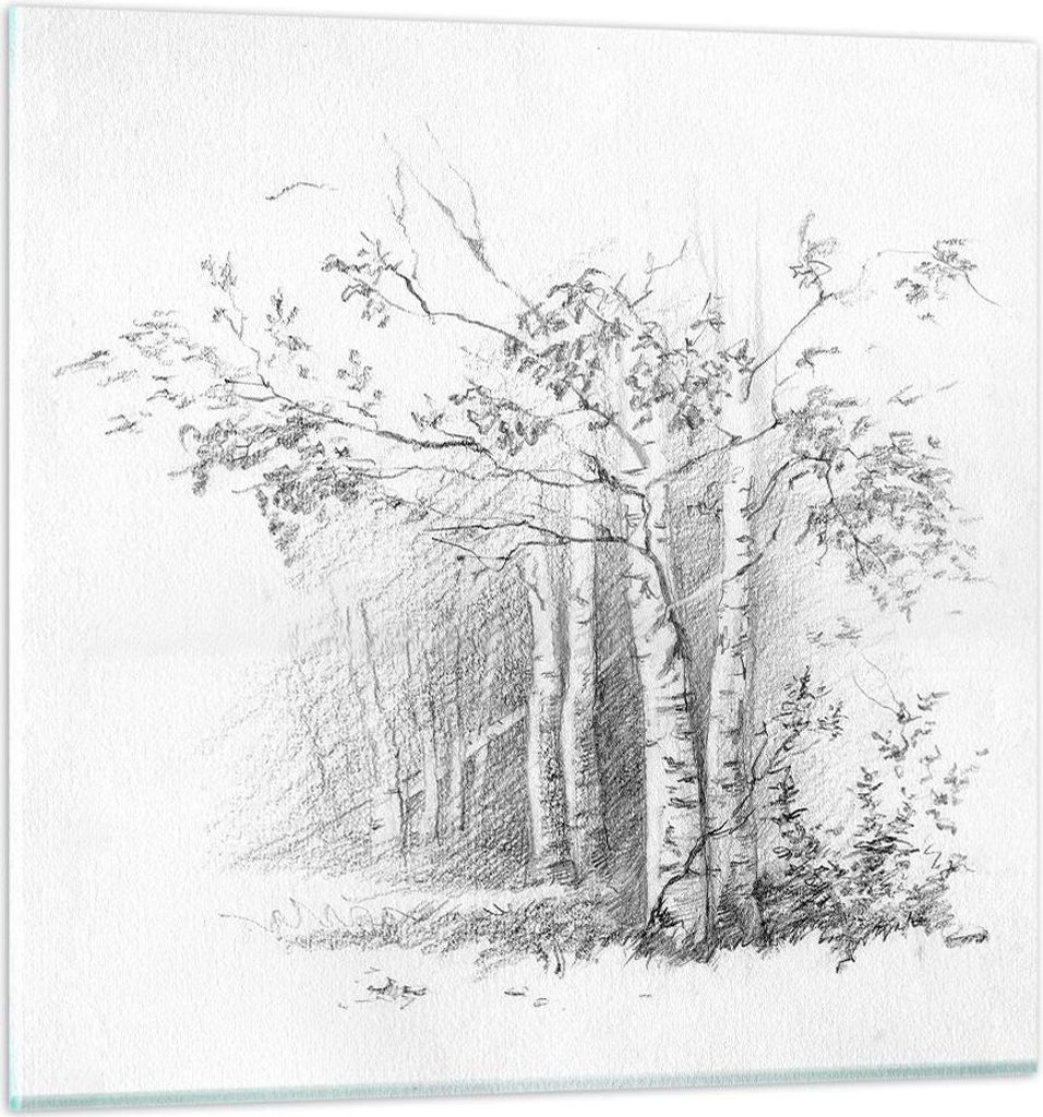 Bilder auf glas - Einteilig - Skizze Wald Birke - 70x70cm - Produktbild 