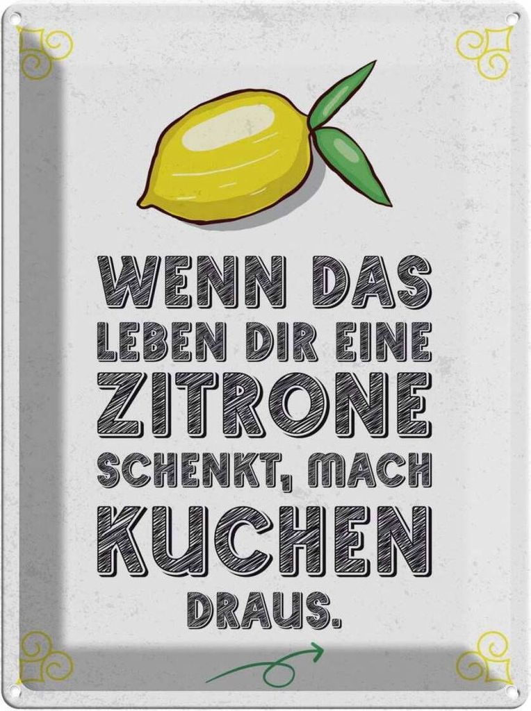 vianmo Blechschild 40x30 cm Wenn das Leben dir Zitrone schenkt Spruch Zitat