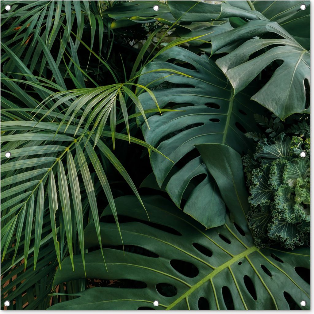MuchoWow 100x100 cm Outdoor-Poster Gartendeko Sichtschutz Garten Poster für den Garten Pflanzen - Dschungel - Blätter - Tropisch