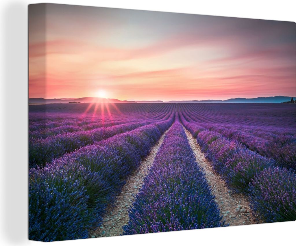OneMillionCanvasses - Leinwandbilder - 150x100 cm, Lavendel - Lila - Blumen - Himmel, Wandbilder Kunstdruck Wanddekoration - Foto auf Leinwand - ...