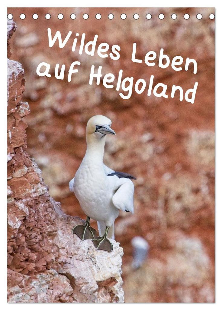 Wildes Leben auf Helgoland (Tischkalender 2027 DIN A5 hoch), CALVENDO Monatskalender