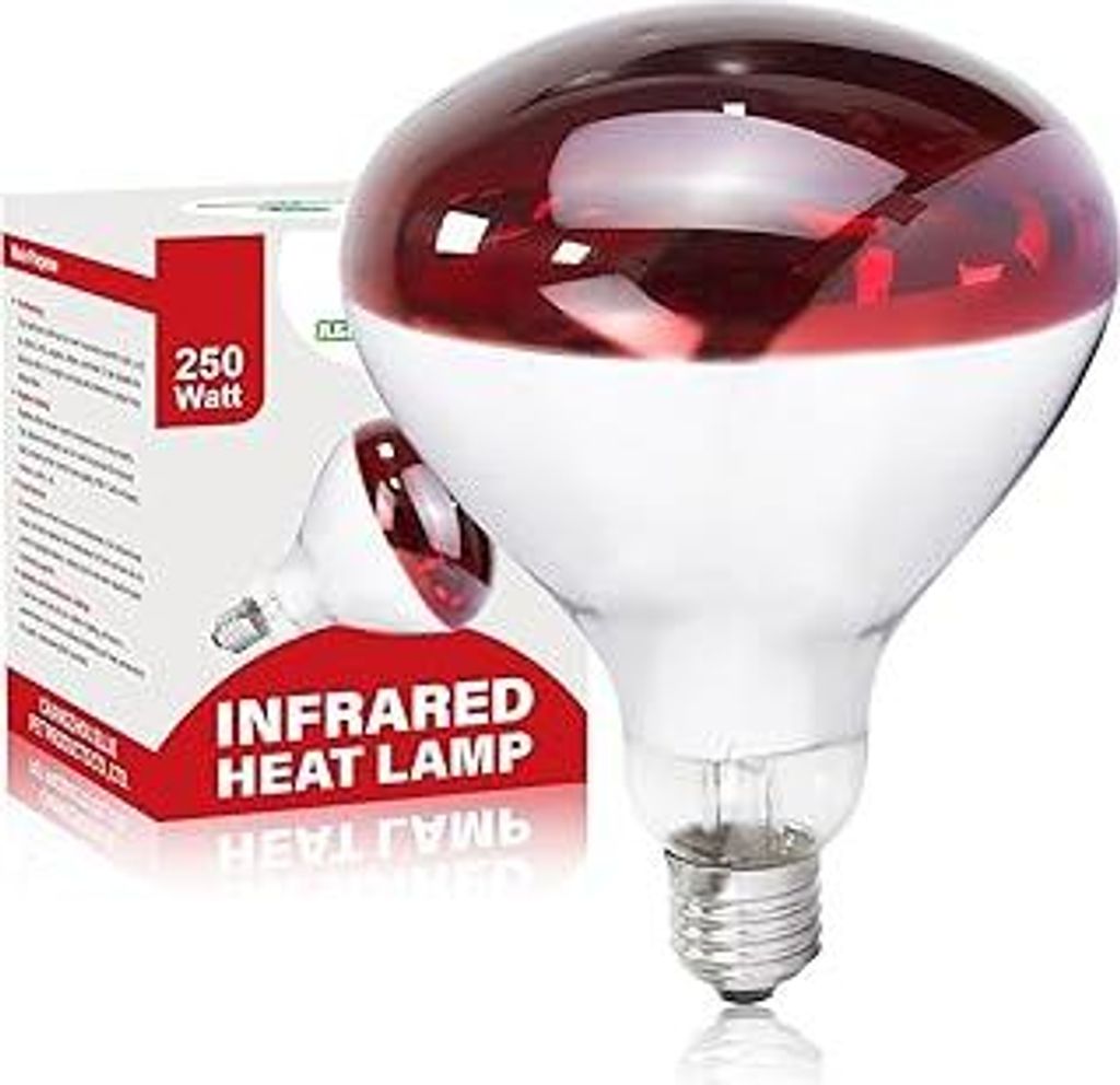 250W Infrarotlampe wärmelampe, R125 Rotlichtlampe Wärmelampe für Hühner 1 Stück, E27 Reptilien Terrarium Heizlampe für Hühnerfarmen, Säuget...