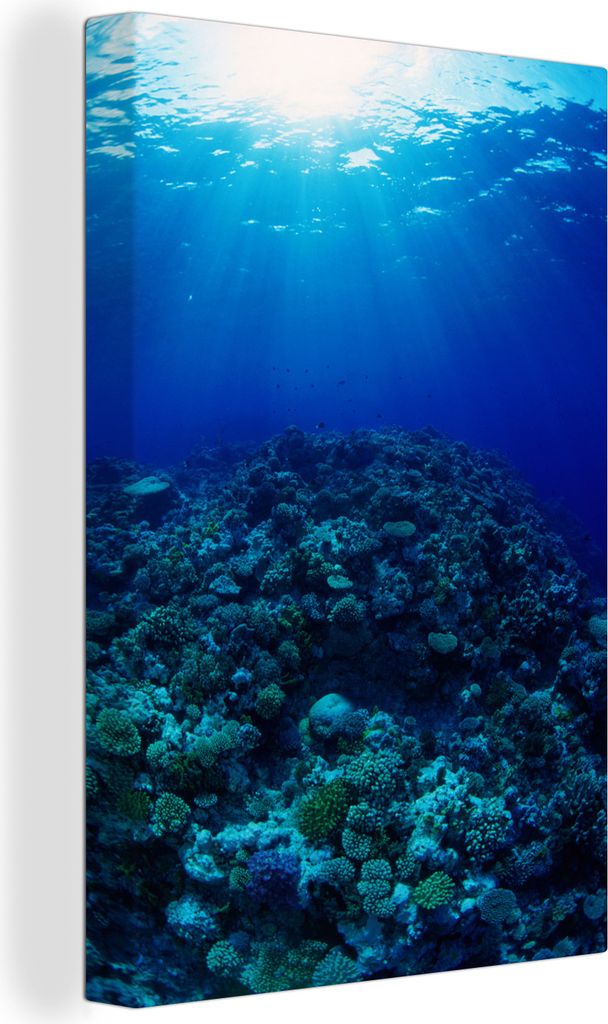 OneMillionCanvasses - Leinwandbilder - 90x140 cm, Great Barrier Reef mit Unterwasser-Lichtstrahlern, Wandbilder Kunstdruck Wanddekoration - Foto ...