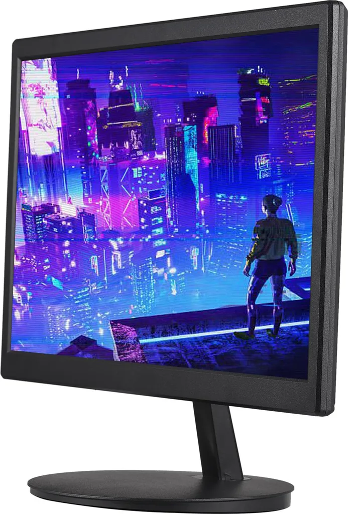 Moniteur PC LED 20" Noir Écran d'Affichage Haute Définition VGA