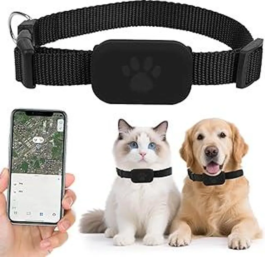 Miglior Localizzatore Gatti Bluetooth Impermeabile - No Canone