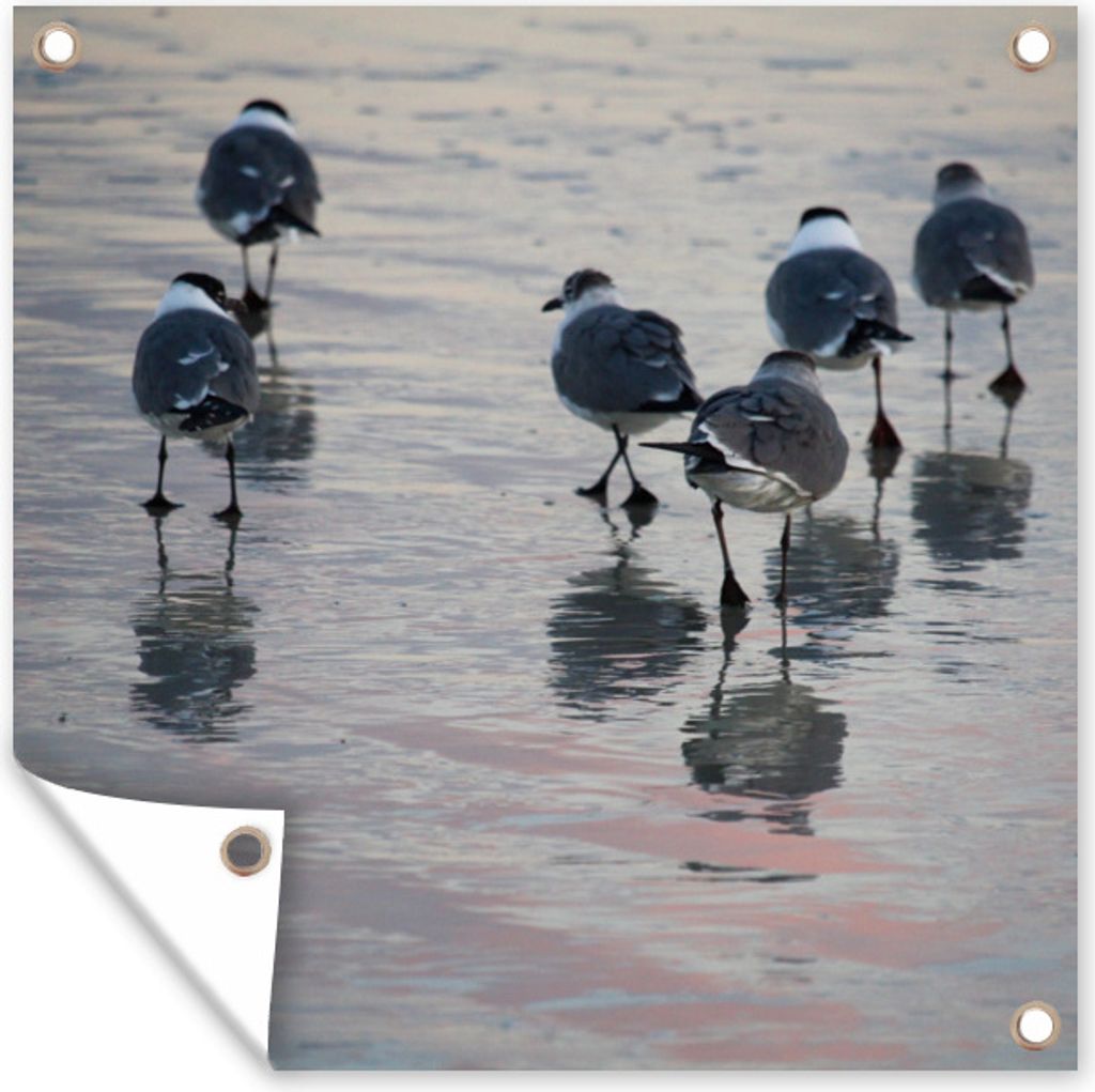 MuchoWow 100x100 cm Outdoor-Poster Gartendeko Sichtschutz Garten Poster für den Garten Möwe - Wasser - Vogel