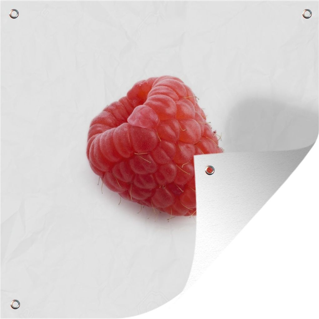 MuchoWow 100x100 cm Outdoor-Poster Gartendeko Sichtschutz Garten Poster für den Garten Himbeere - Rot - Obst