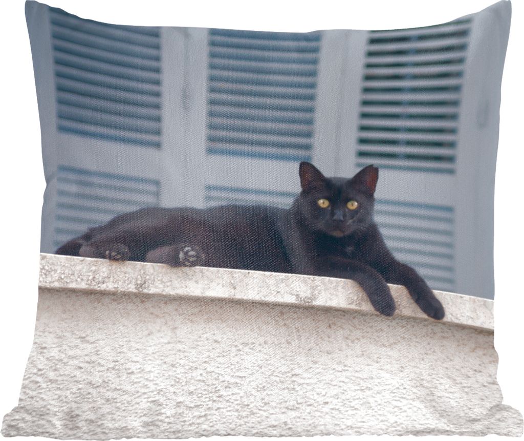 MuchoWow Zierkissen Sofakissen Wohnzimmer Dekokissen 40x40 cm Katze - Schwarz - Fensterläden - Mädchen - Kinder - Jungen - Kind - Foto Kissen -...