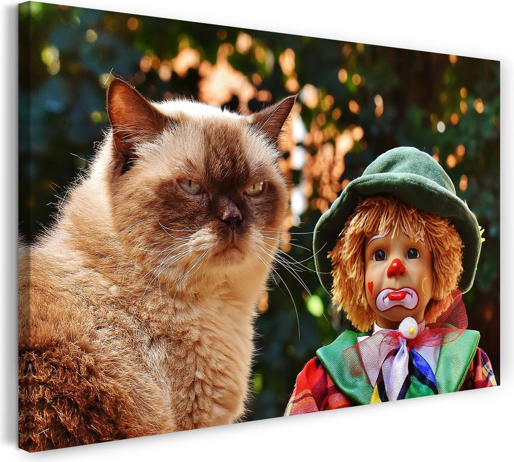 Leinwandbild (80x60cm): Katze grumpy mit Clown Katzenbilder Katzen, echter Holz-Keilrahmen inkl. Aufhänger, handgefertigt in Deutschland