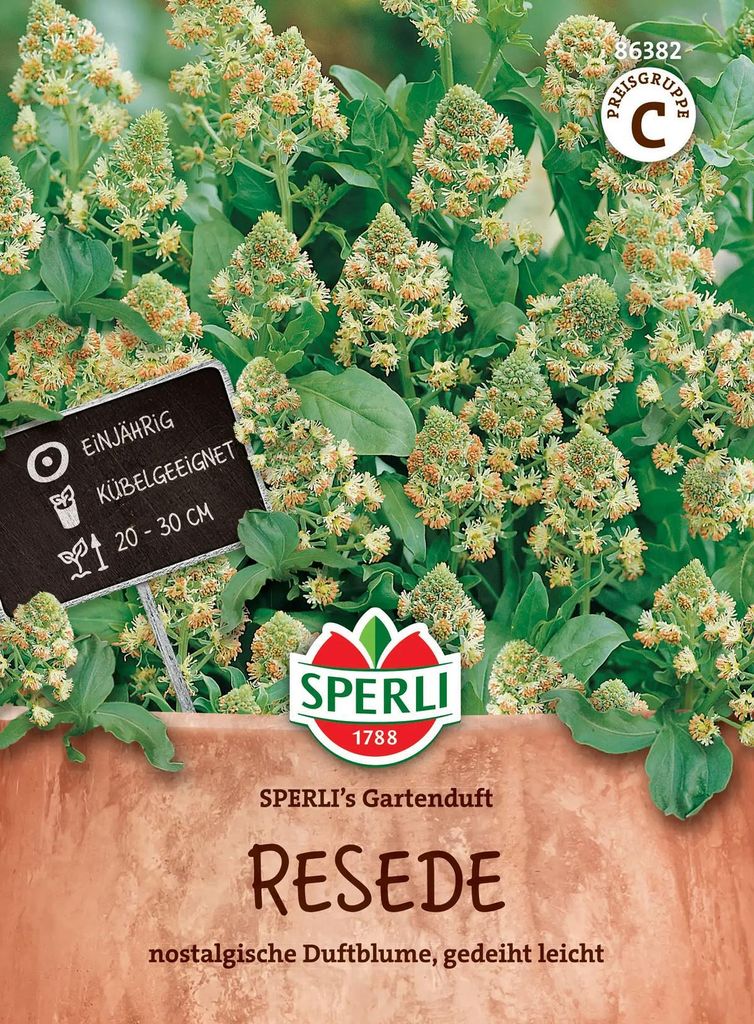 Sperli Resede SPERLI ́s Gartenduft - Blumensamen