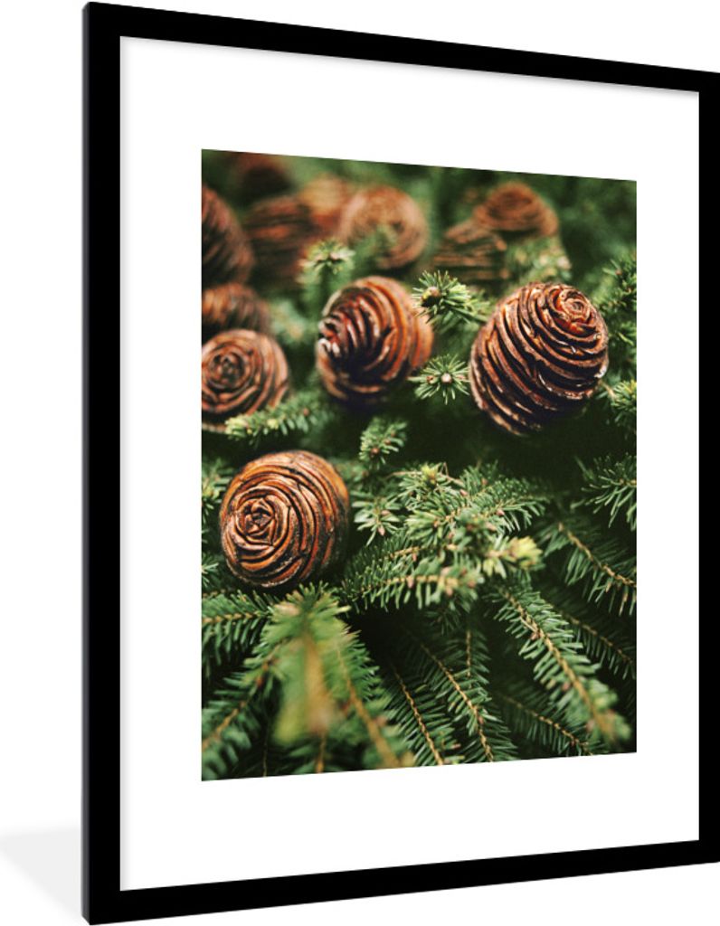 MuchoWow Gerahmtes Poster Eine Nahaufnahme von Tannenzapfen am Weihnachtsbaum 60x80 cm - Poster mit Schwarzem Bilderrahmen Wandposter Rahmen Foto...